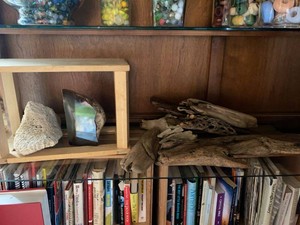 Group Natural Decor Agate Slice Coral Specimen Driftwood Pieces