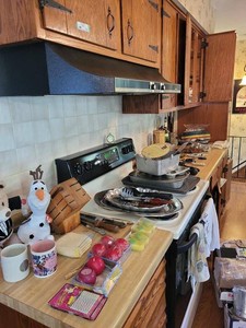 Box Lot of Assorted Vintage Kitchenware Bakeware Plush Decor
