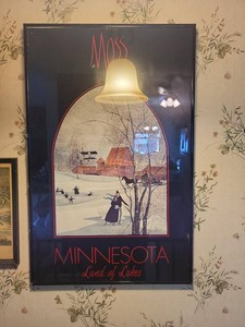 Moss Minnesota Land of Lakes Framed Glass Print 25 x 16 Inches