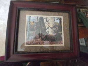 Framed Woodland Deer Wildlife Print in Burgundy Wood Frame
