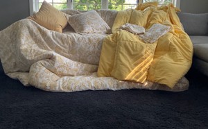 Bedding & Pillow Lot
