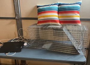 Live Trap, Outdoor Pillows & TV Antenna