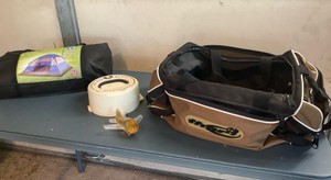 Tent, bag, and Collectables