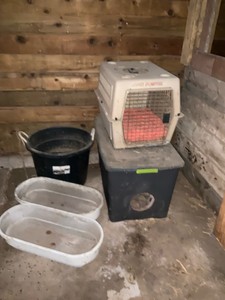OutdoorAnimal Lot
