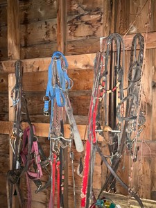 Horse Accessory Lot