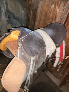 Saddle