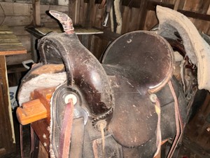 Saddle