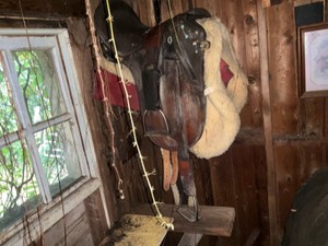 Saddle