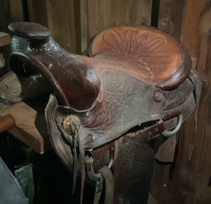 Saddle