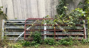Lot of 4 Gates