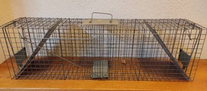 Medium Sized Wire Animal Trap
