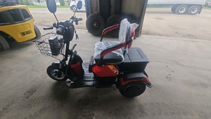 2026 - Unused - FUTURE - Electric tricycle - FT-D3