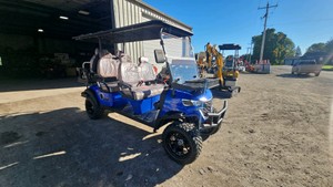 2026 - FUTURE - FT-GC42S - Off-Road Golf Cart