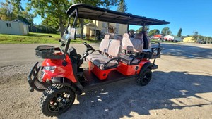 2026 - FUTURE - FT-GC42S - Off-Road Golf Cart