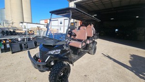 2026 - FUTURE - FT-GC42S - Off-Road Golf Cart