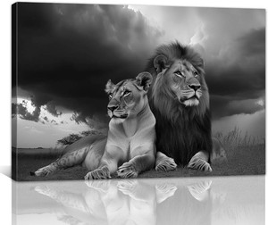 Wild Animal Canvas Wall Art Couple Lion Picture Prints Black White Lion and Lioness Paintings for Living Room Bedroom Bathroom Wall Decor Framed(Wild-3,24L x 36W)