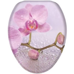 Sanilo 326 Elongated Molded Wood Toilet Seat with No Slam, Slow, Soft Close Lid, Stainless Steel Hinges, Unique Fun Decorative Design