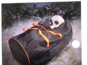 Decor storage bag