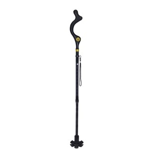Campbell Posture Cane