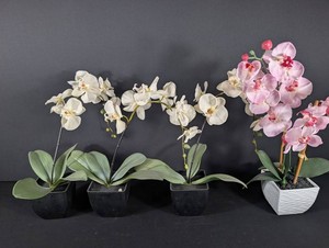 Artificial Orchid Arrangements - White & Pink (Lot of 4)