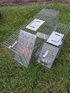 Galvanized Wire Live Animal Traps (Lot of 3)