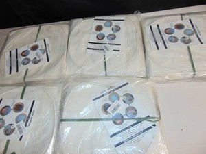 Lot of 100 - Chinese Paper Lanterns 5- 20 Packs White Paper Wishing Lanterns (White)