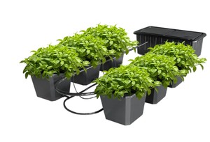 Hydroponic Bucket System 6 Site