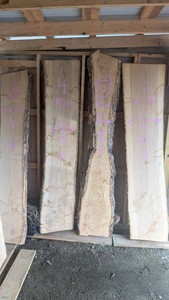 Live Edge Slab wood - Ash