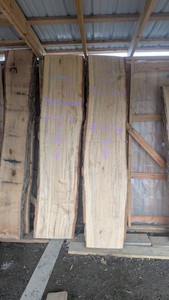 Basswood Live Edge Slabwood