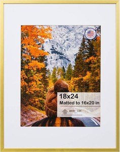 WOOD SIDE ORBIS 18x24 Gold Aluminum Metal Picture Frame with Mat 16x20 - Wall Display Poster Photo Frames, 1 Pack