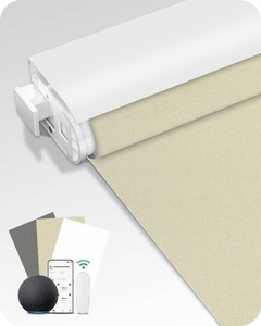 Allesin Motorized Blinds with Remote (Beige, 22x72)