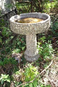 Stone Bird Bath