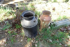 2 Vintage Milk Cans