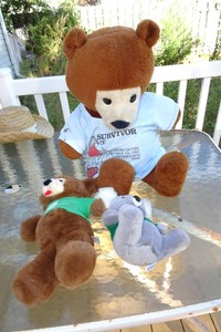 Norwest Bank Commemorative Buddy Bears