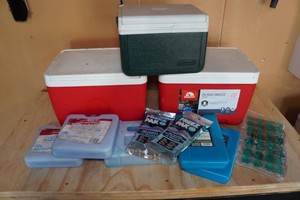 3 9QT Coolers and Ice Packs