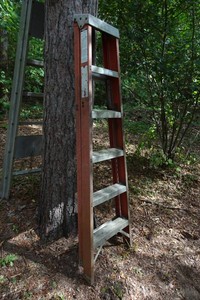 Louisville Fiberglass 6 Step Ladder