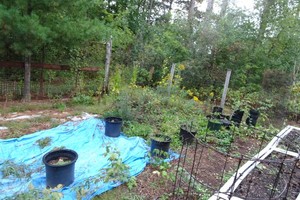 5 and 8 Gallon Planters