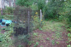 Chicken Wire Fencing - 5 Tall, About 100