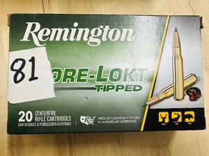 Remington .270 WIN - 130 gr - CORE-LOKT Tipped