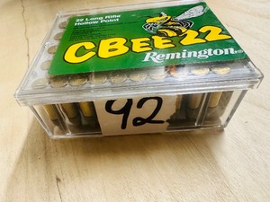 CBEE .22 LR Hollow Point - 100 rds