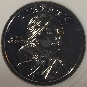2012 Native American Dollar  .999 Fine Silver Enriched  Vault Verification