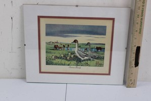 Framed Summer Beauty Wildlife Print - Geese and Goslings 11 x 14