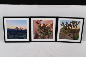 Framed Desert Landscape Photography Prints (Lot of 3) 9 x 9