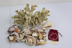 Branching Coral, Seashells & Freshwater Pearl Bracelet Mixed Lot
