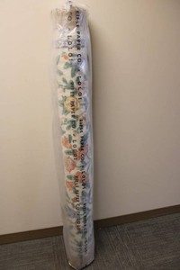 Rifle Paper Co. X Loloi Eden EDE-02 Cream Area Rug 5 X 76