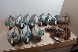10 Duck Decoys