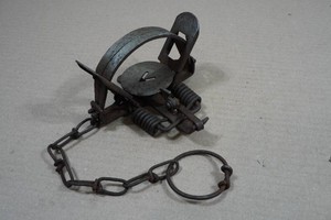 Victor #1.5 Double Spring Trap