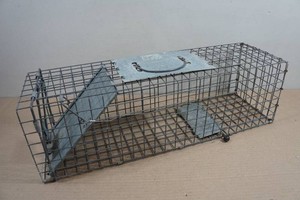 Havahart Live Trap