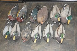 12 Duck Decoys