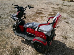 2026 NEW FUTURE FT-D3 Electric tricycle - Unassembled